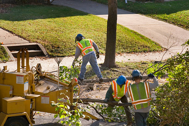 Seasonal Cleanup (Spring/Fall) in Rocky Point, WA