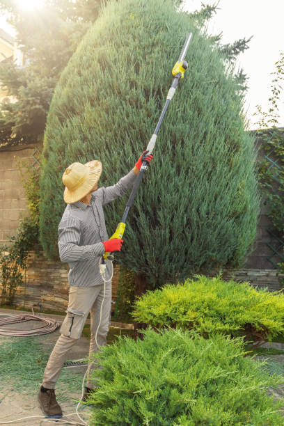 Lawn Drainage Solutions in Rocky Point, WA